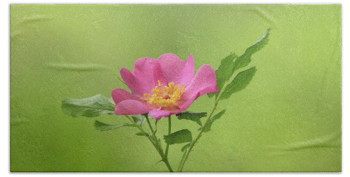 Rose Bath Towel featuring the photograph Pink Wild Rose by Debbie Oppermann