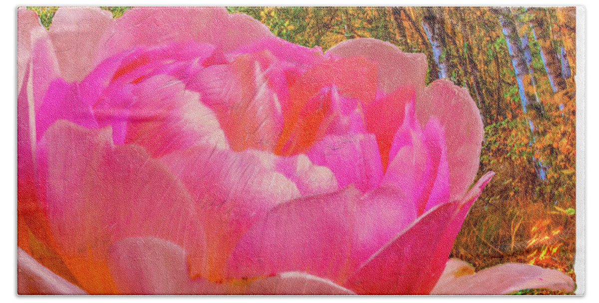Color Bath Towel featuring the photograph Pink Woods #e1 by Leif Sohlman