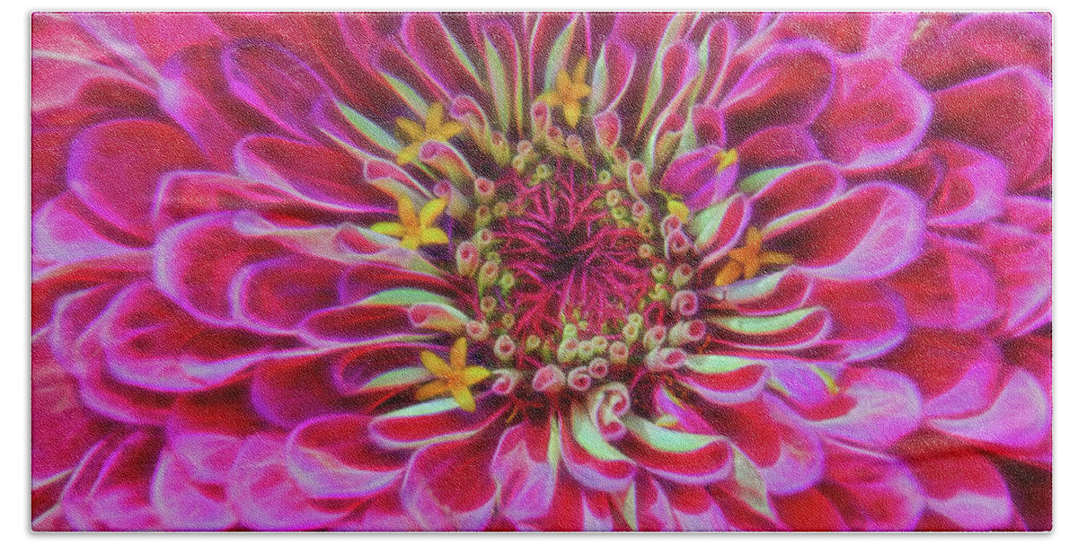 Zinnia Hand Towel featuring the photograph Pink Zinnia Glow by Beth Venner