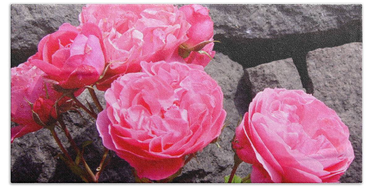 Roses Hand Towel featuring the photograph Pinks On The Rocks by Loretta Luglio
