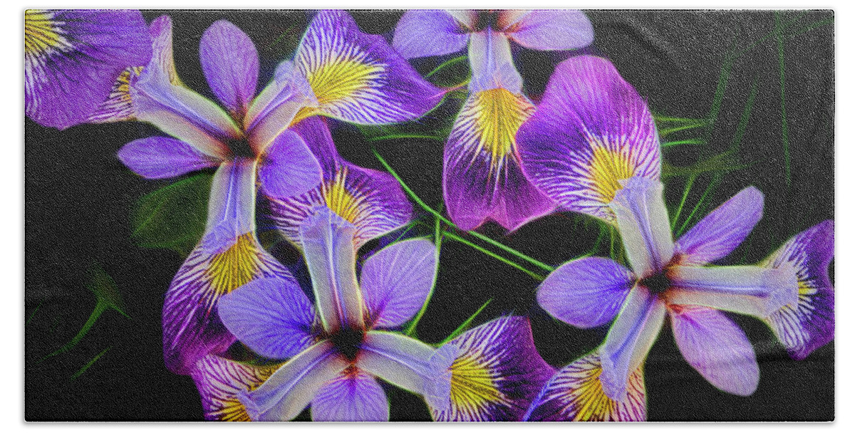 Purple Hand Towel featuring the photograph Pinwheel Purple Iris Glow by Penny Lisowski