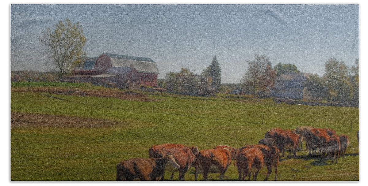 Cows Bath Towel featuring the photograph 1014 - Plain Road Farm and Cows I by Sheryl L Sutter