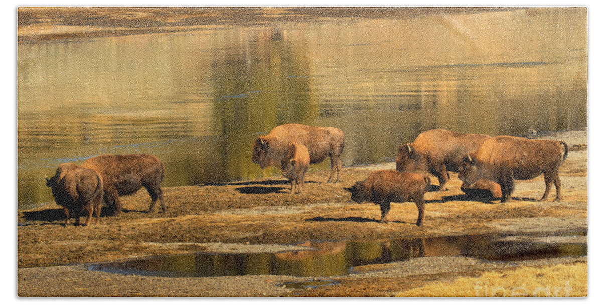 Bison Bath Towel featuring the photograph Planning To Cross by Adam Jewell