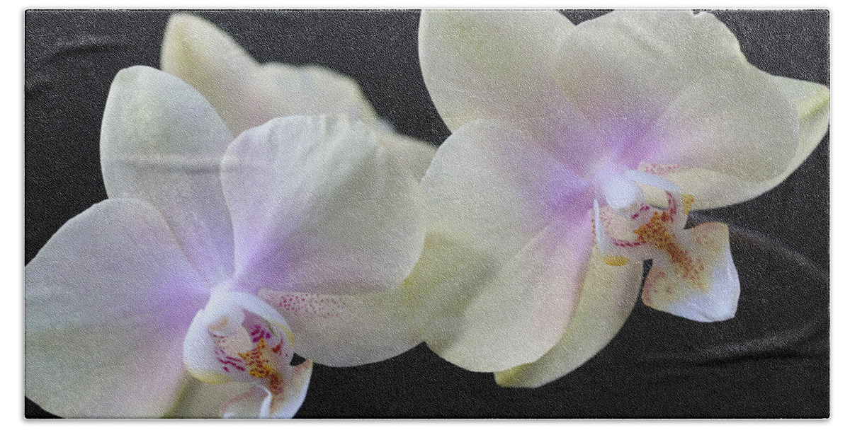 Orchids Bath Towel featuring the photograph Playful Orchids by Tammy Pool