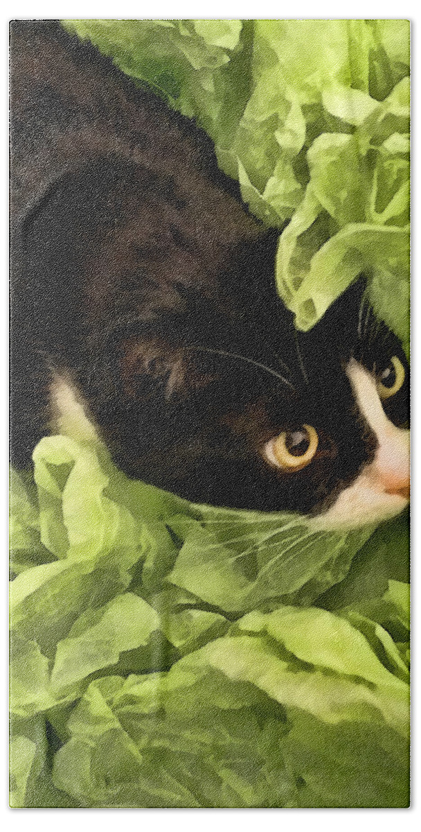 Tuxedo Hand Towel featuring the photograph Playful Tuxedo Kitty in Green Tissue Paper by Kathy Clark