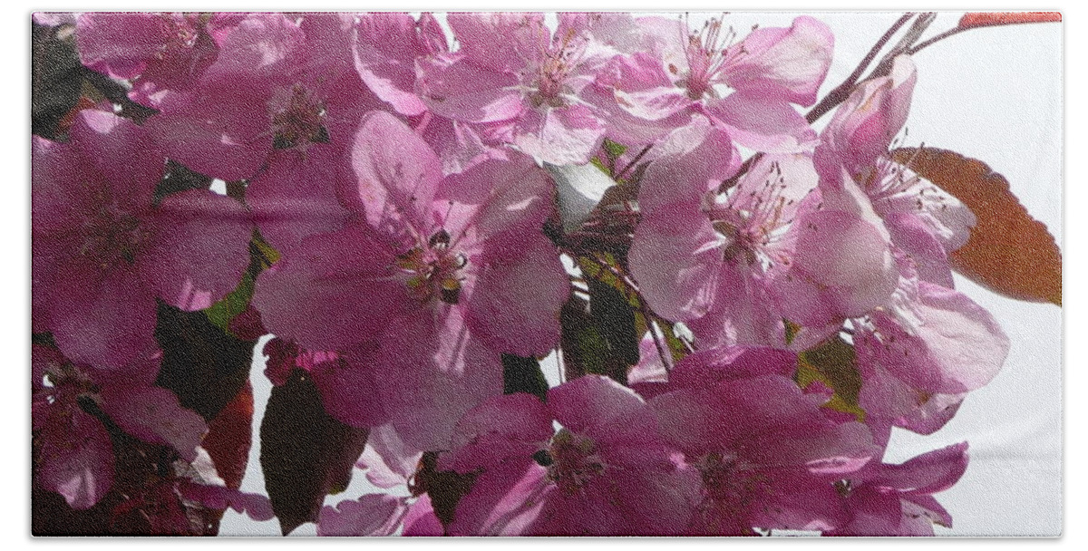 Flowers Bath Towel featuring the photograph Plum Perfect by Ruth Kamenev