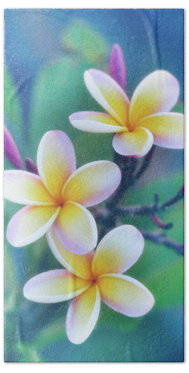 Floral Bath Sheet featuring the photograph Plumerias in Pastel by Jade Moon