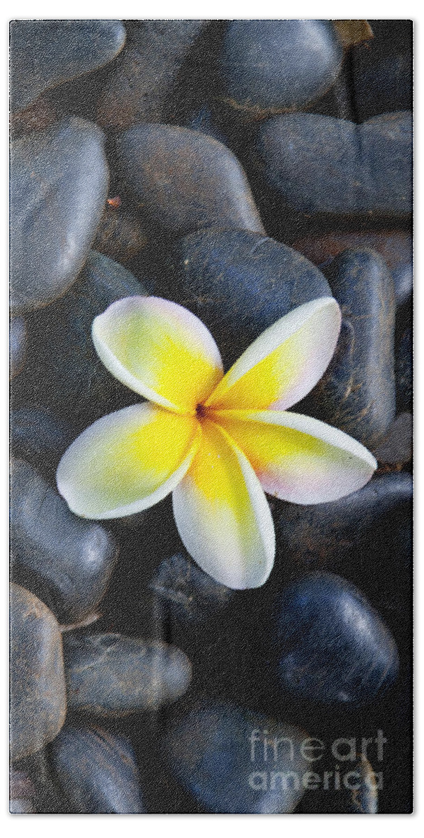 Plumeria Hand Towel featuring the photograph Plumeria Pebbles - part 2 of 3 by Sean Davey