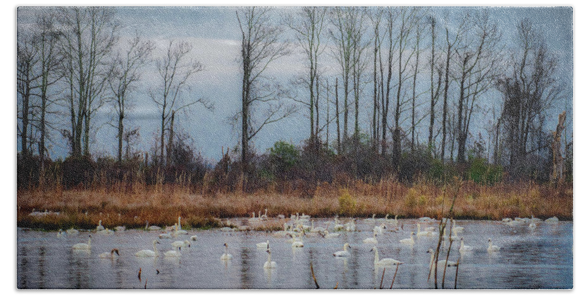 Nature Bath Towel featuring the photograph Pocosin Lakes NWR by Donald Brown