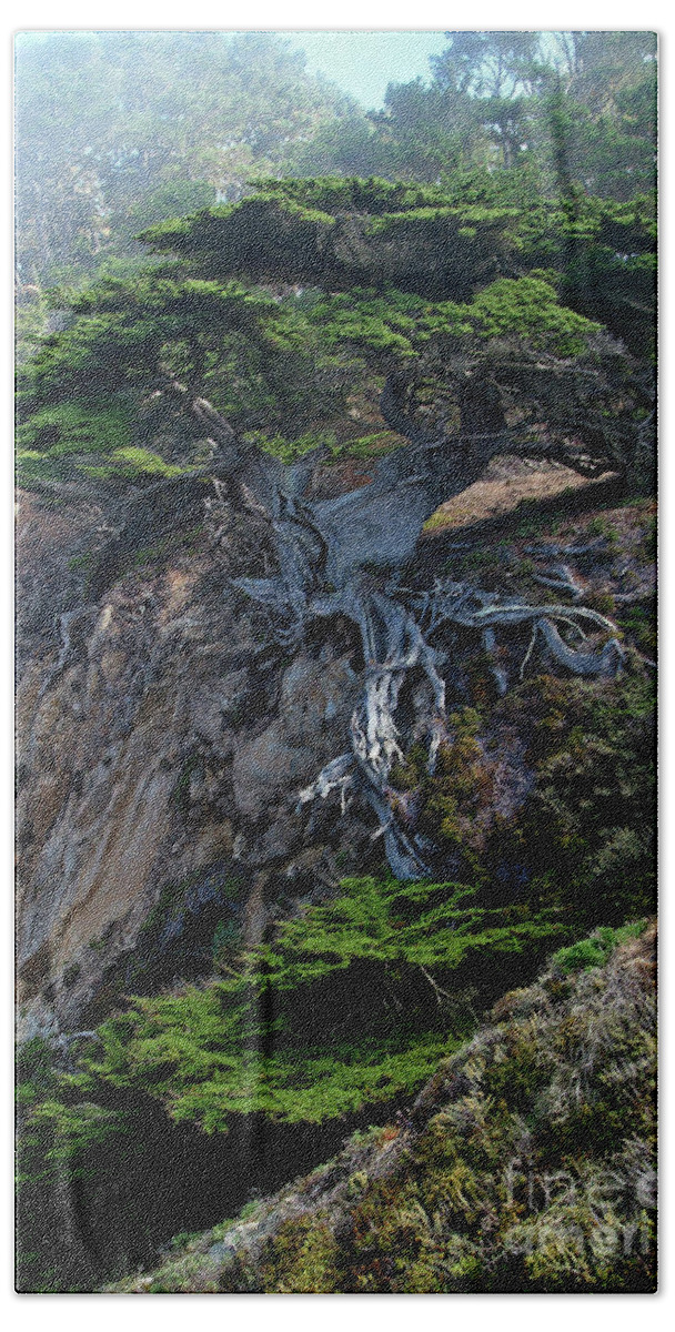 Landscape Bath Towel featuring the photograph Point Lobos Veteran Cypress Tree by Charlene Mitchell