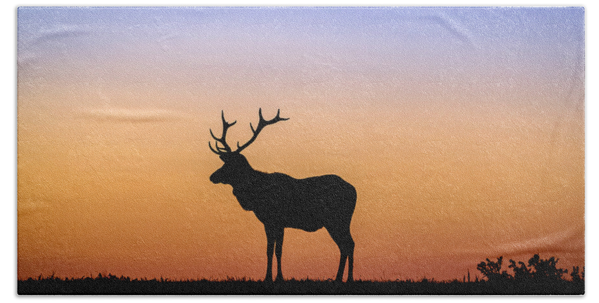 Elk Hand Towel featuring the photograph Point Reyes Elk by Mike Ronnebeck