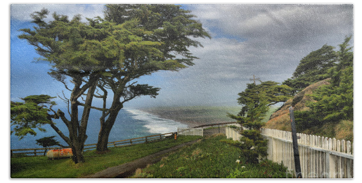 Point Reyes Hand Towel featuring the photograph Point Reyes Windblown Cypress by Adam Jewell