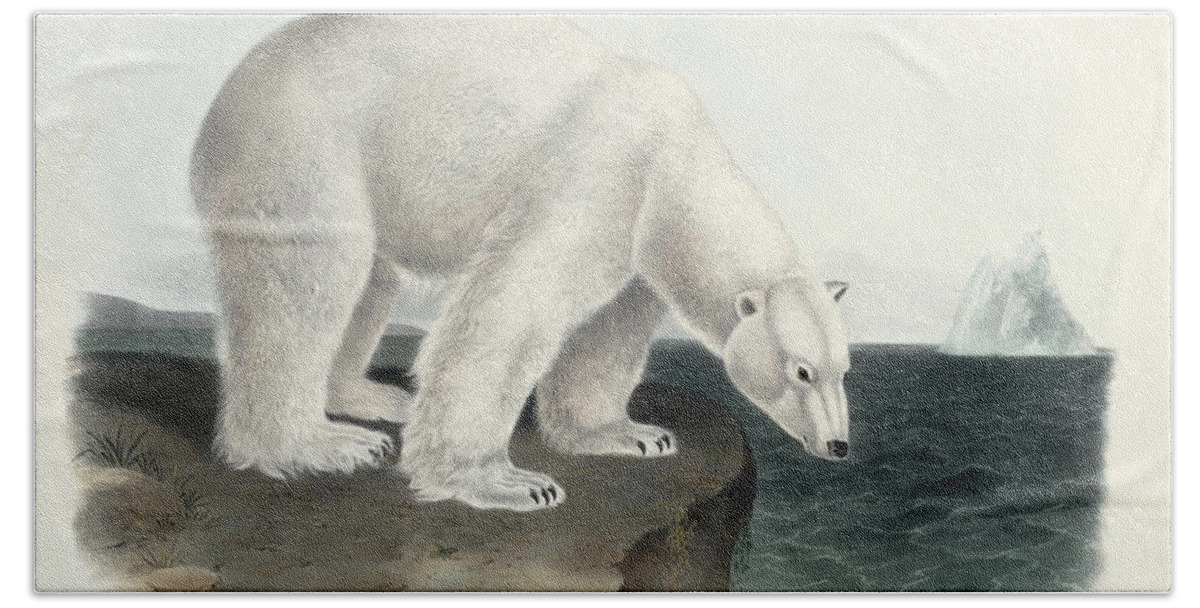 Arctic Hand Towel featuring the painting Polar Bear by John James Audubon