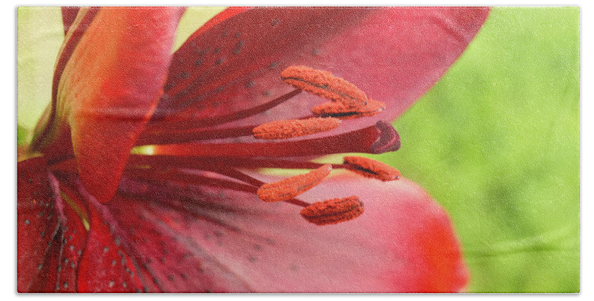 Red Bath Towel featuring the photograph Pollination ready. by Elena Perelman