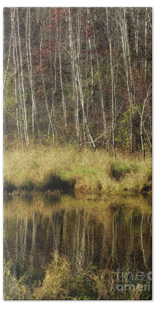 Pond Bath Towel featuring the photograph Pond Reflections by Jimmy Ostgard