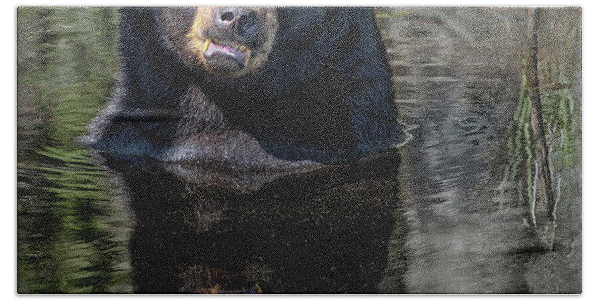 Bear Hand Towel featuring the photograph Pool Break by Art Cole