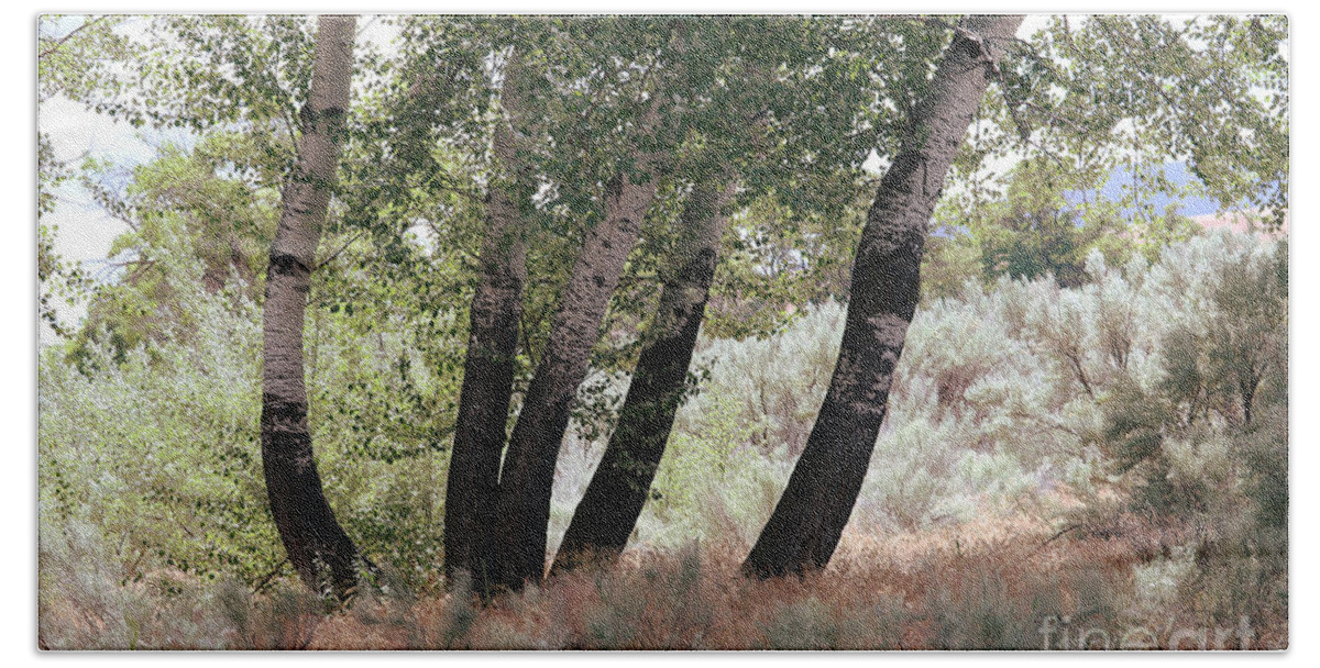 Trees Bath Towel featuring the photograph Poplar Trees and Sagebrush by Carol Groenen