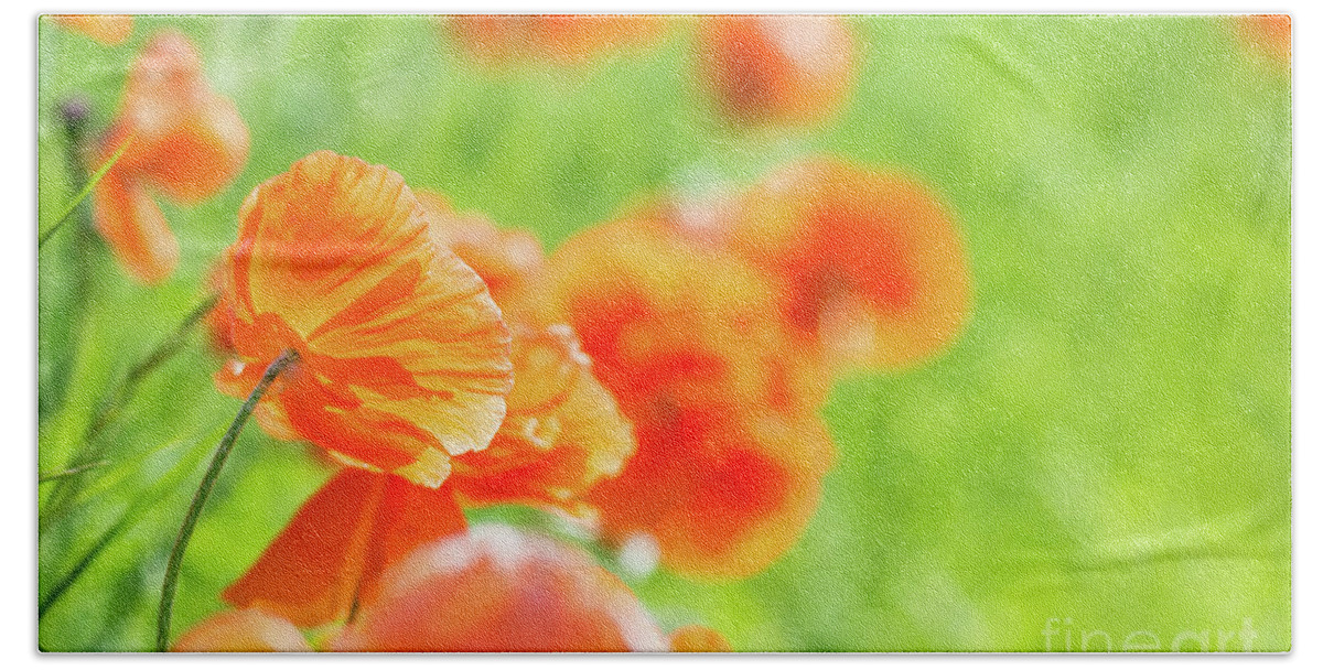 Cheryl Baxter Photography Bath Towel featuring the photograph Poppies in the Sun by Cheryl Baxter