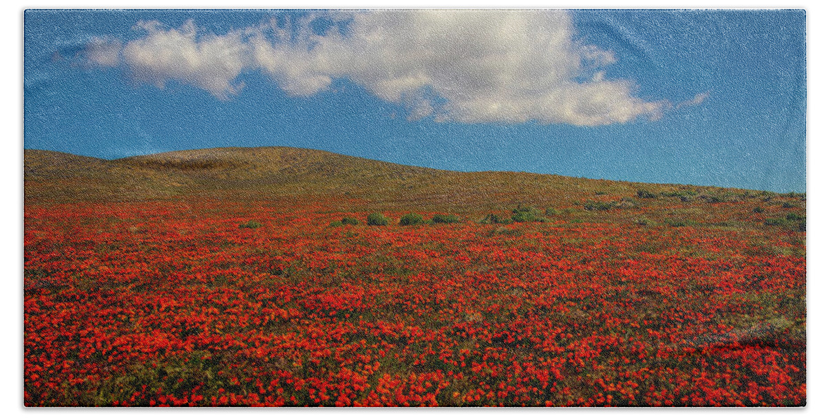 Poppy Bath Towel featuring the photograph Poppy Field With Clouds by Garry Gay