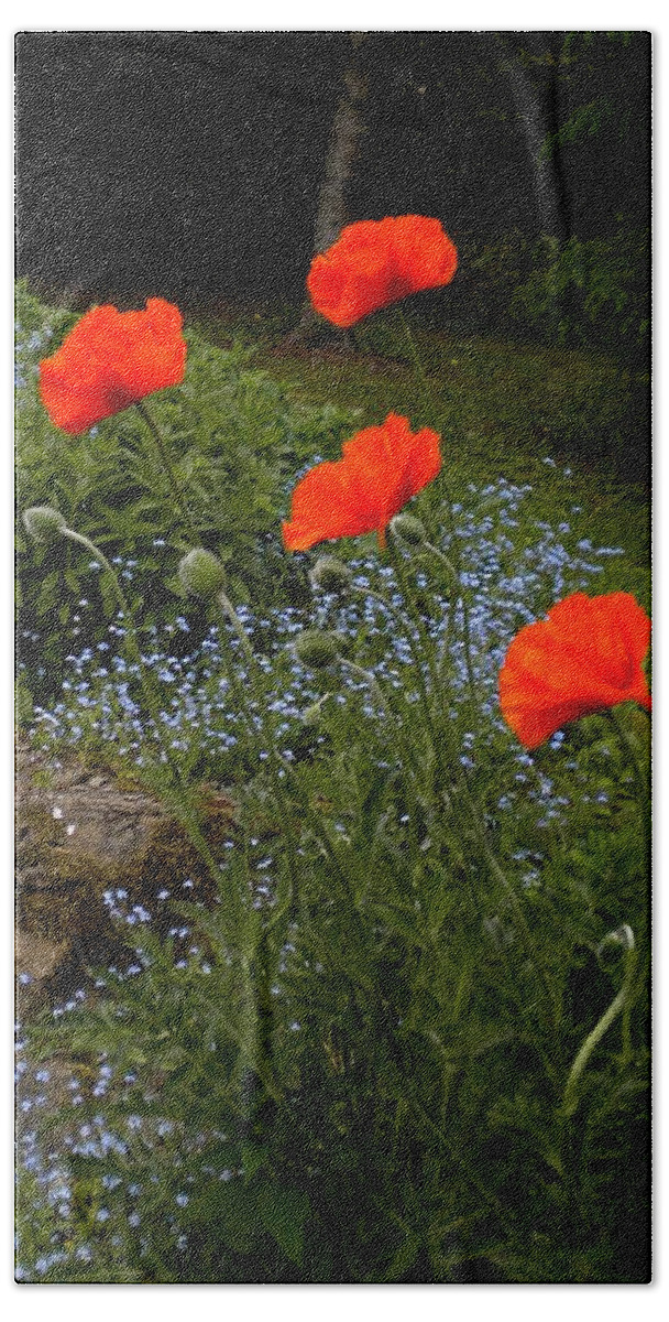Poppy Bath Towel featuring the painting Poppy Foursome by Renate Wesley