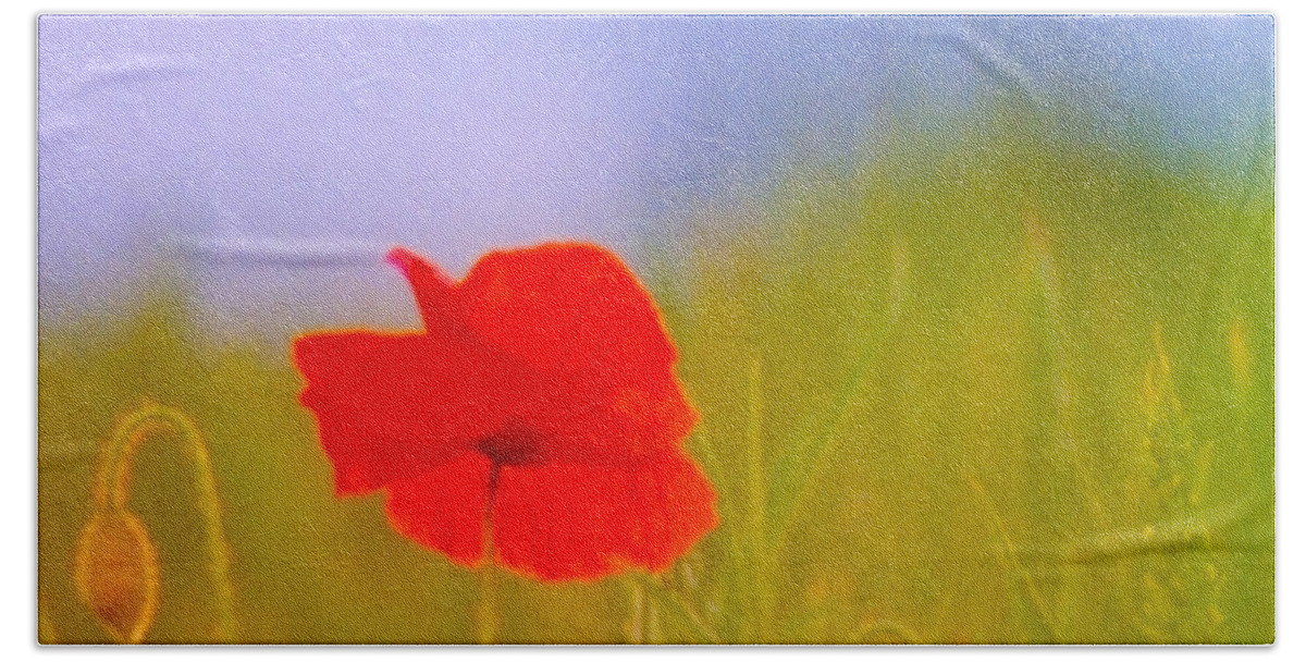 Red Hand Towel featuring the photograph Poppy in soft light. by John Paul Cullen