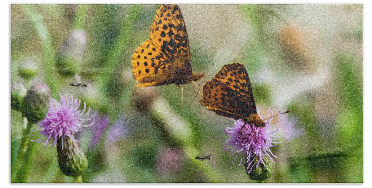 Great Spangled Fritillary Bath Towel featuring the photograph Popular Plant by Holden The Moment