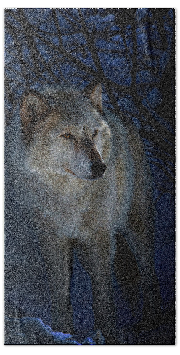  Bath Towel featuring the photograph Portrait in the night by Jeff Shumaker