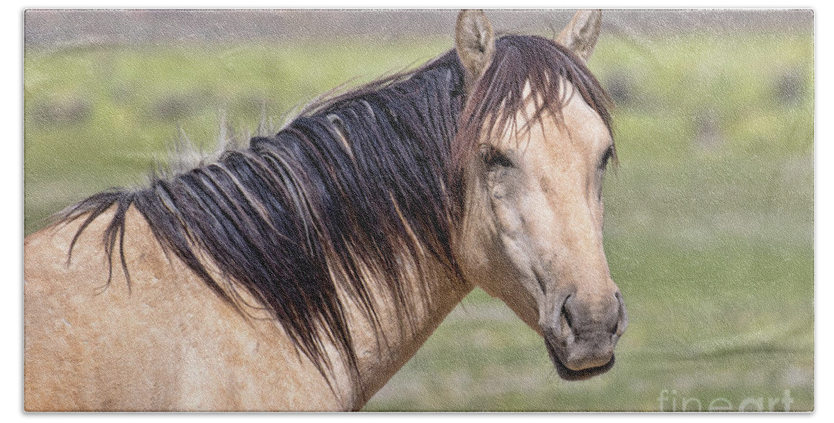 Horse Hand Towel featuring the photograph Portrait Of A Wild Horse by Mimi Ditchie