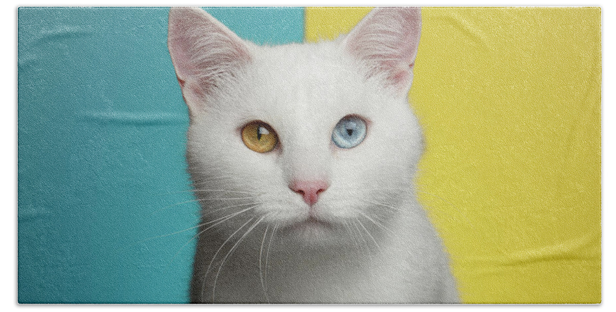 Cat Hand Towel featuring the photograph Portrait of White Cat on Blue and Yellow Background by Sergey Taran