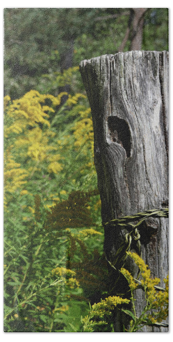 Wood Hand Towel featuring the photograph Post by Robert Och