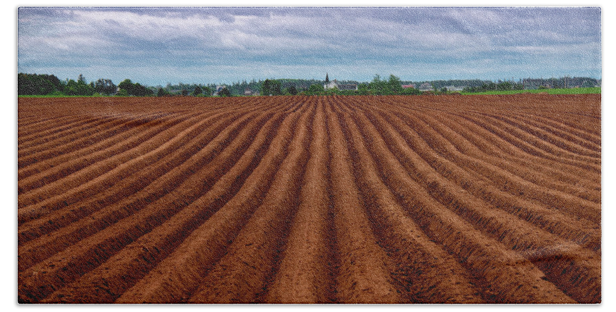 Potatoes Hand Towel featuring the photograph Potato Field on Prince Edward Island by Patrick Boening