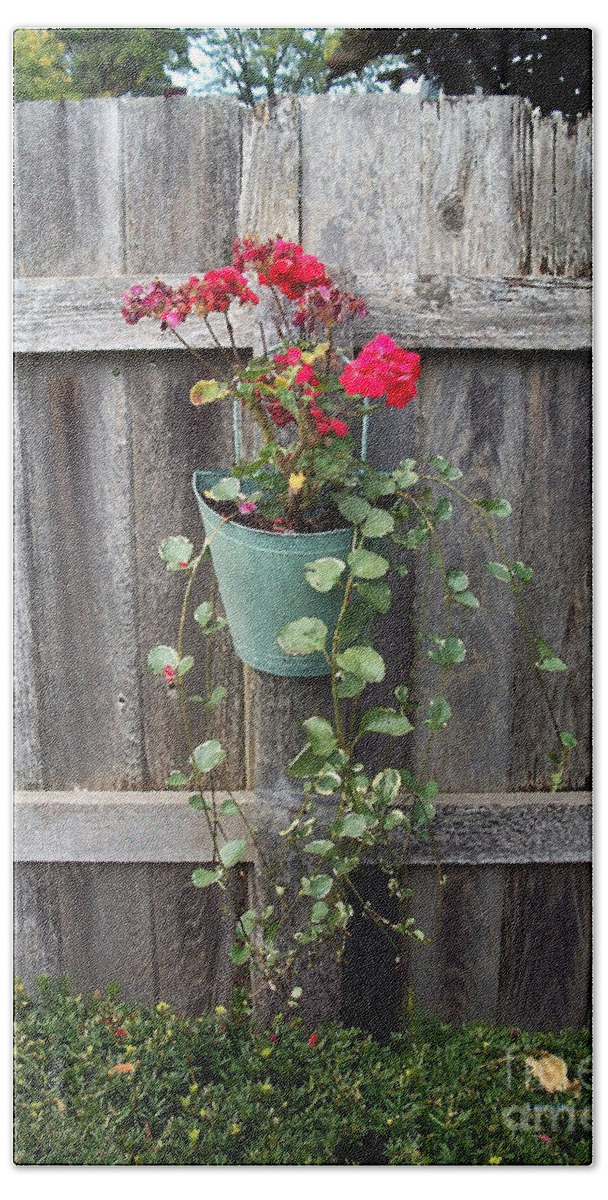 Flowers Hand Towel featuring the photograph Potted Geranium On Fence by Walter Neal