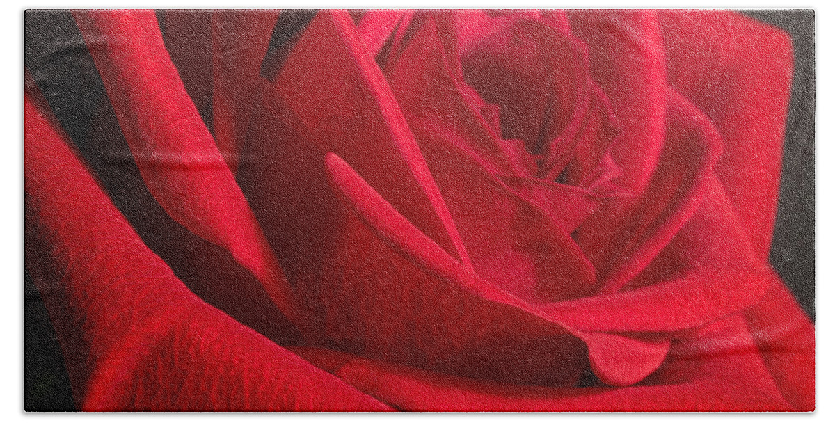 Rose Hand Towel featuring the photograph Power of Love by Anita Oakley