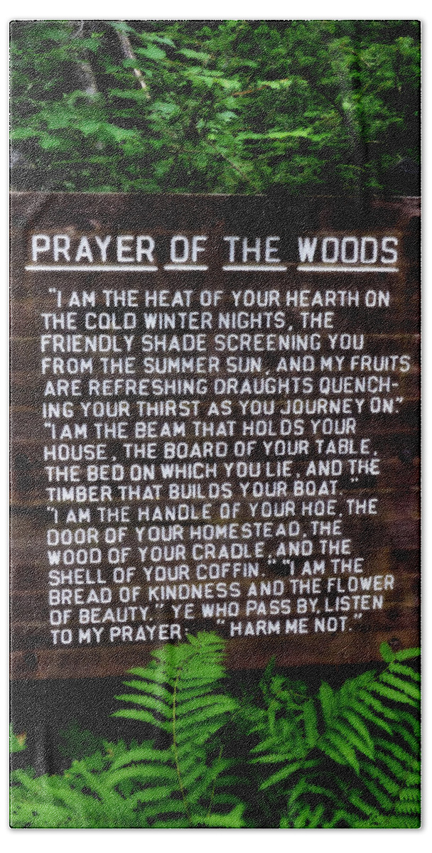 Prayer Hand Towel featuring the photograph Prayer of the Woods by Michelle Calkins