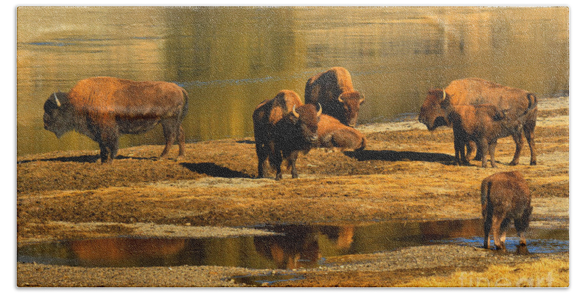 Bison Bath Towel featuring the photograph Preparing To Cross The Yellowstone River by Adam Jewell
