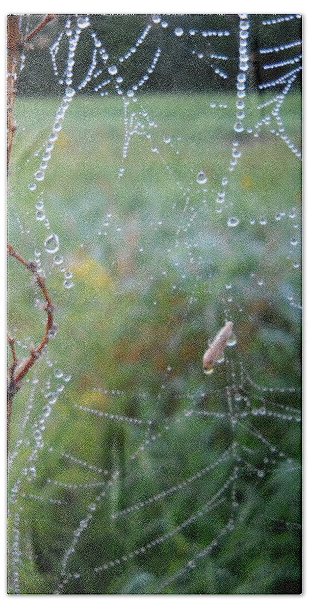 Dew Bath Towel featuring the photograph Pretty Dew Drops on a Spider Web by Kent Lorentzen