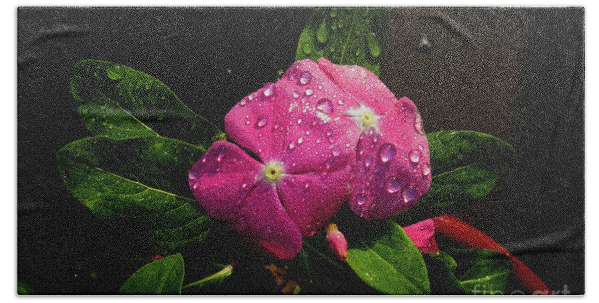 Pink Hand Towel featuring the photograph Pretty in Pink by Douglas Stucky