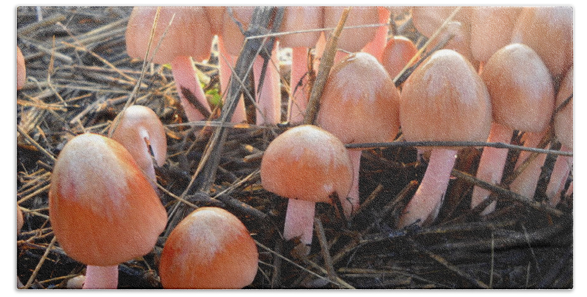 Mushrooms Hand Towel featuring the photograph Pretty in Pink Mushrooms by Kent Lorentzen