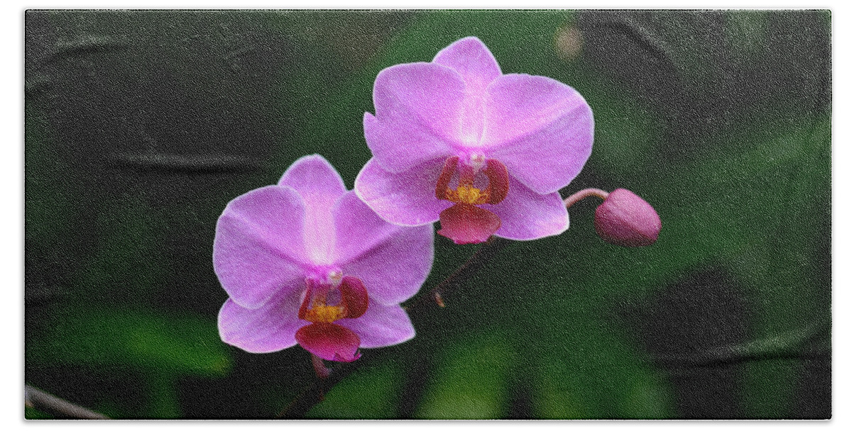Orchid Pink Purple Plant Green Photography Photograph Hand Towel featuring the photograph Pretty Pink and Proud by Shari Jardina