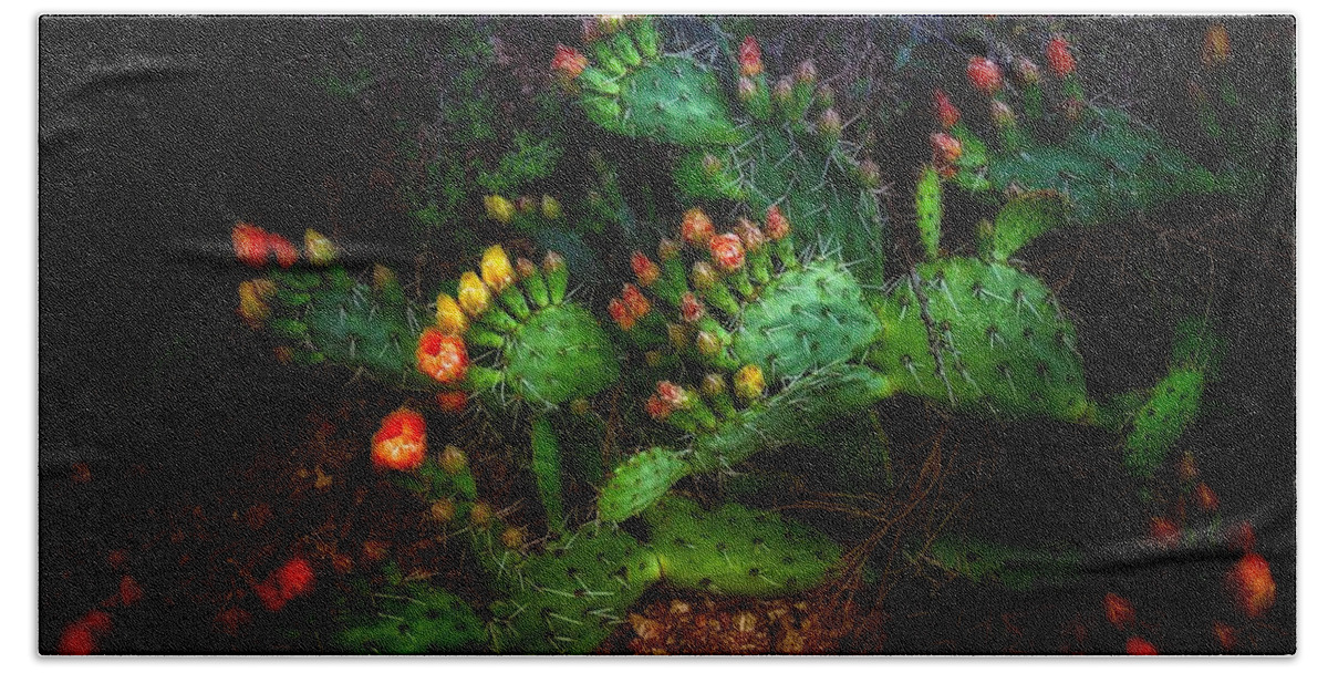 Cactus Hand Towel featuring the photograph Pretty Prickly by Hans Brakob