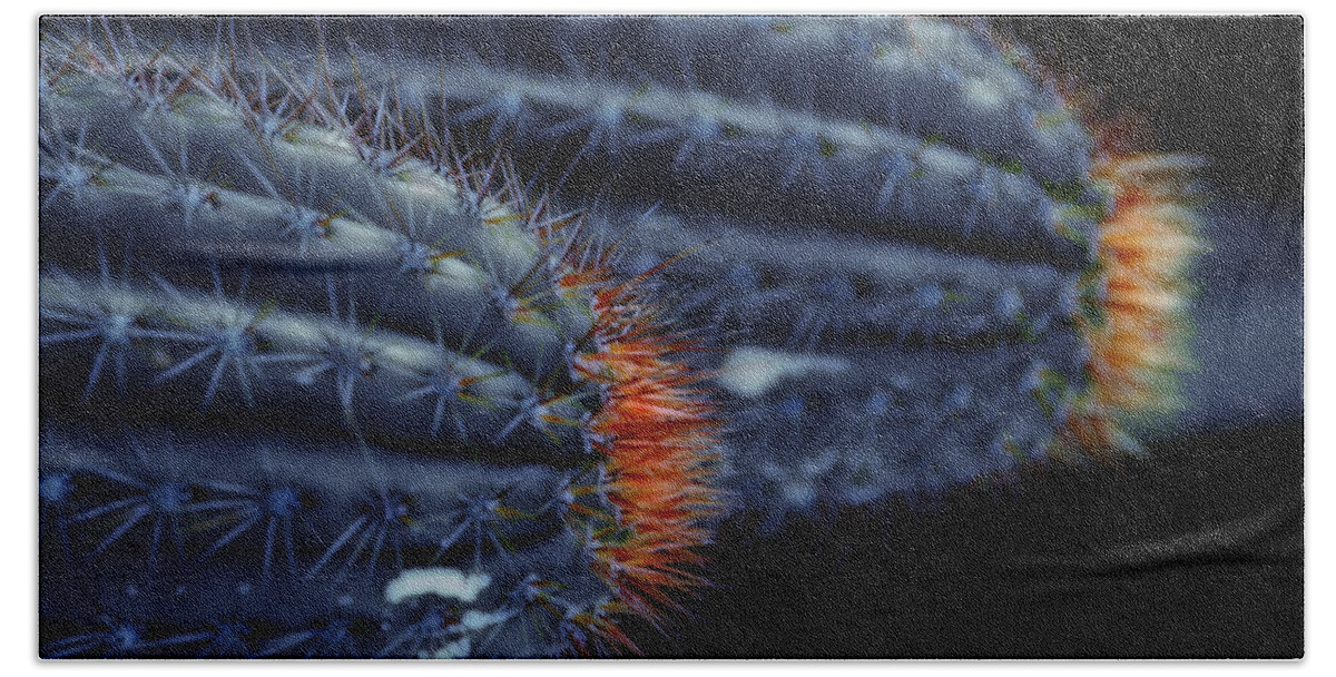Cactus Bath Towel featuring the photograph Prickly Hooters by Donna Blackhall