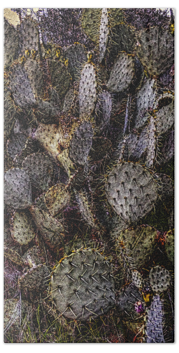 Arizona Bath Towel featuring the photograph Prickly Pear Cactus at Tonto National Monument by Roger Passman