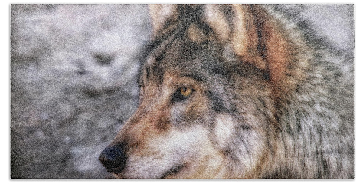 Mexican Grey Wolf Bath Towel featuring the photograph Profiling by Elaine Malott