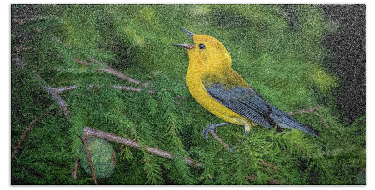 Nature Hand Towel featuring the photograph Prothonatory Warbler 9809 by Donald Brown