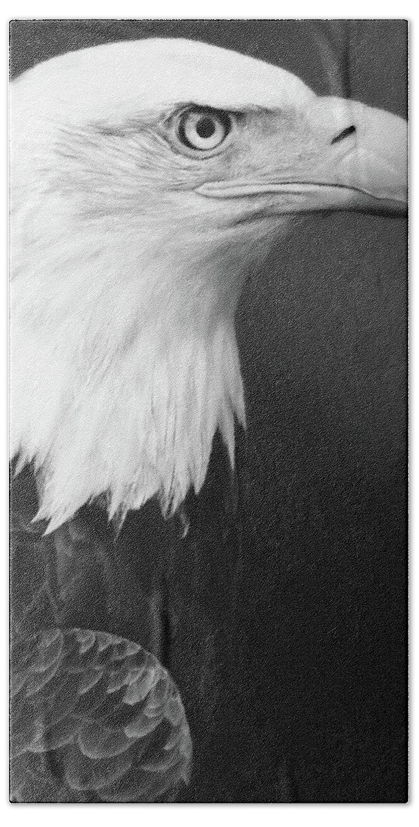 Proud Bald Eagle Bath Towel featuring the photograph Proud Bald Eagle Black and White by Georgiana Romanovna