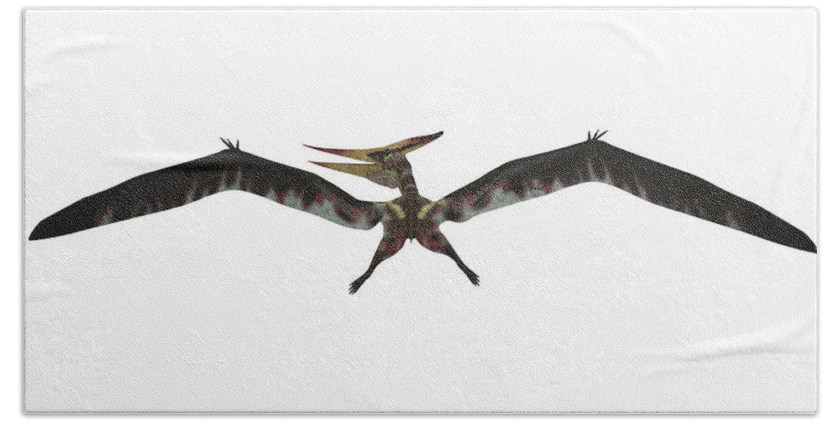 Dinosaur Hand Towel featuring the painting Pteranodon Flight on White by Corey Ford