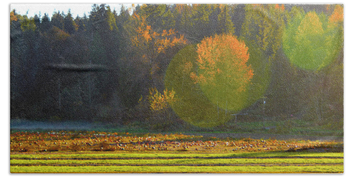 Landscape Hand Towel featuring the photograph Pumpkin Sunset by Brian O'Kelly