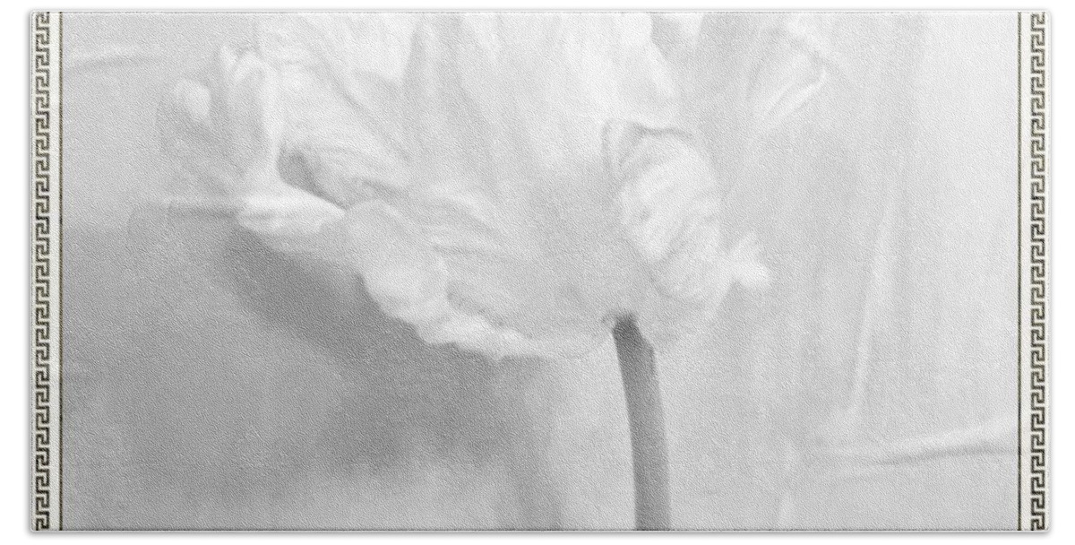 Photo Bath Towel featuring the photograph Pure Parrot Tulip by Marsha Heiken