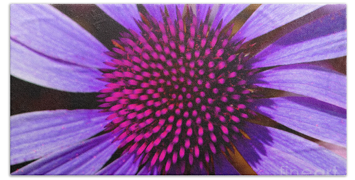 Daisy Bath Towel featuring the photograph Purple and Pink Daisy by Amy Lucid