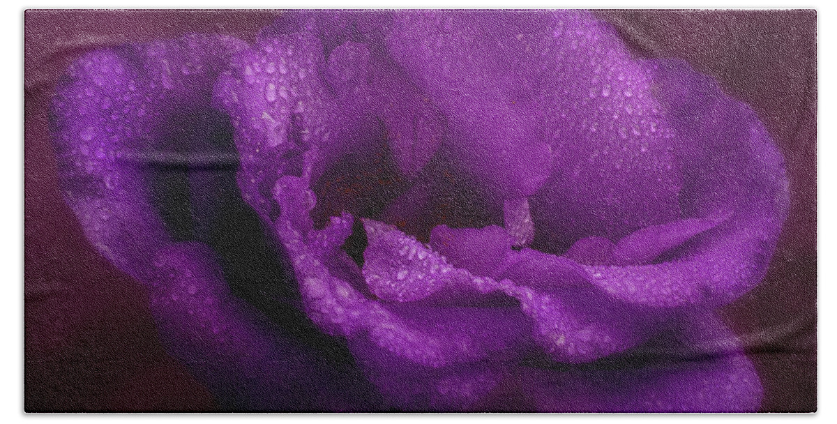 Flowers Bath Towel featuring the photograph Purple Blossom wit Morning Dew by Garry McMichael